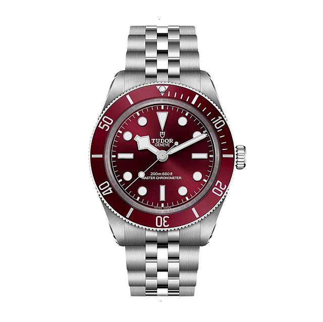 TUDOR BLACK BAY 58